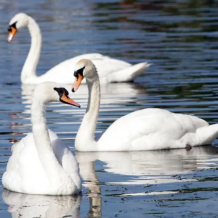 The Herons Rest Townhouse *