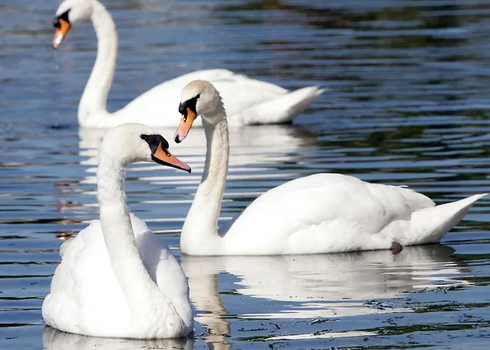 The Herons Rest Townhouse *