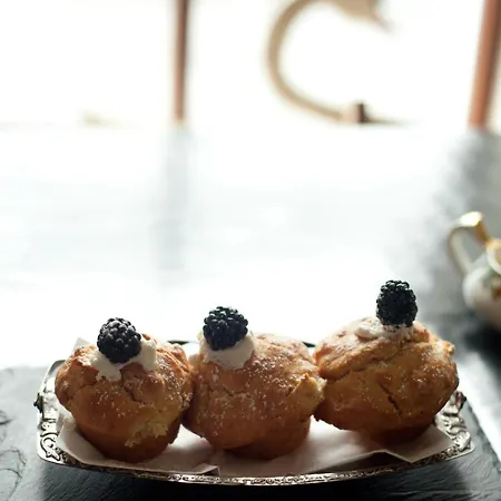 The Herons Rest Townhouse Galway