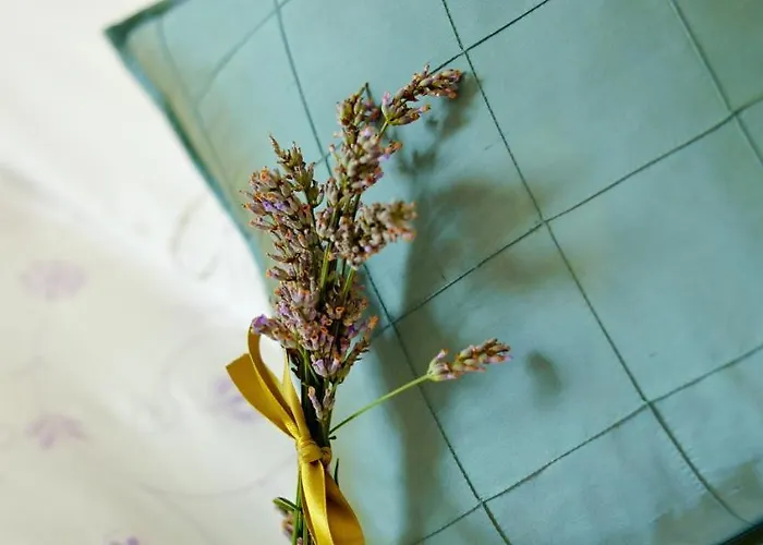 The Herons Rest Townhouse Galway