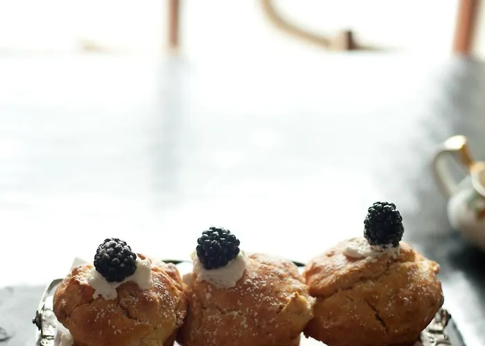 The Herons Rest Townhouse Galway